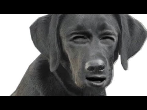 Видео: Советы, подсказки