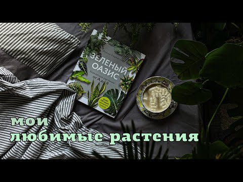 Видео: Мои любимые растения. С чего всё началось.