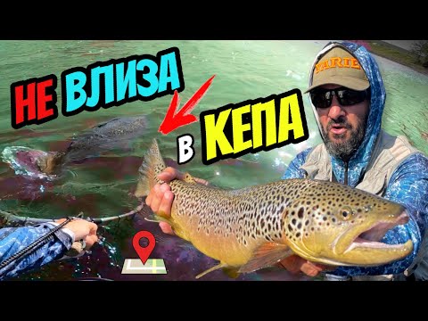 Видео: ТЕЗИ РИБИ ми СЧУПИХА ръцете! БРУТАЛНИ пъстърви на река Огоста в гр. Монтана