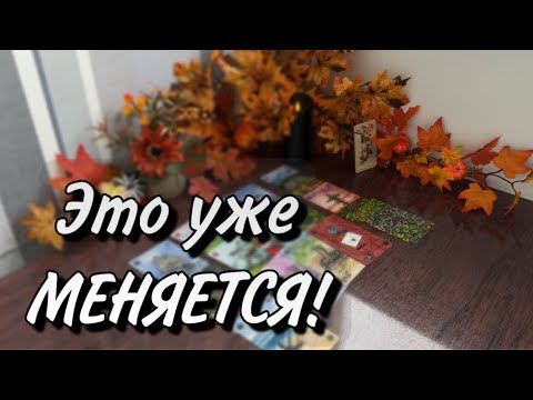 Видео: 💚Это УЖЕ МЕНЯЕТСЯ❗️Кула все идет❓