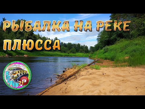 Видео: РЫБАЛКА НА РЕКЕ ПЛЮССА!!!