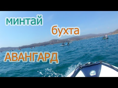 Видео: Бухта Авангард, ловля Минтая, рыбалка с лодки.