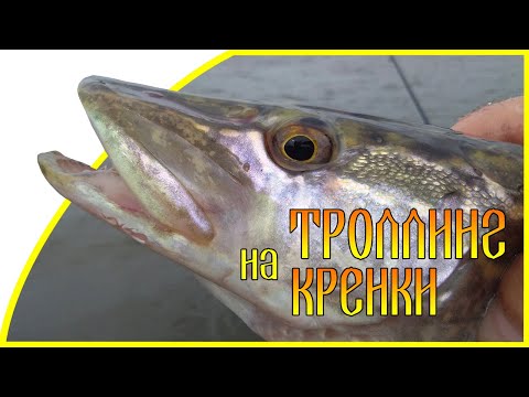 Видео: Троллинг на кренки
