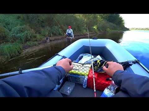 Видео: Рыбалки в Витебской области|Что было по рыбе в СЕНТЯБРЕ?!