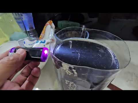 Видео: Очень много малька, Данюшки порадовали, продал Золото!