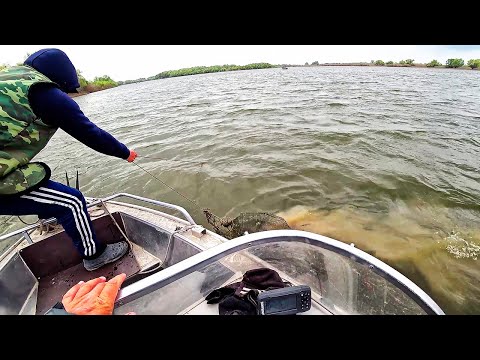 Видео: Вот это УЛОВ! Поймали ЧЁРТА МОРСКОГО! Не забуду эту рыбалку!