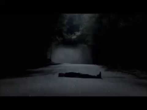 Видео: Damon and Elena - Не люби её