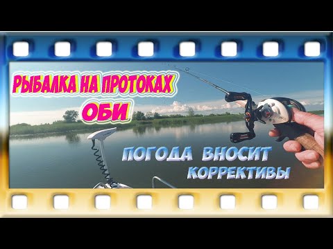 Видео: РЫБАЛКА НА ПРОТОКАХ ОБИ.