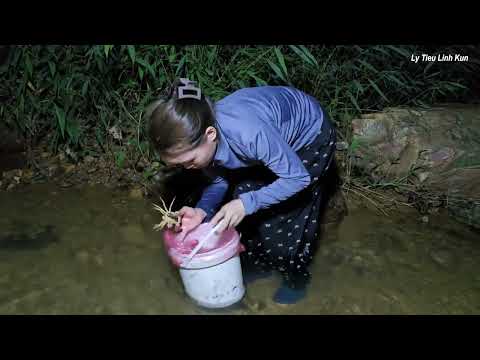 Видео: Бедная девушка возвращается из-за границы, и путешествие полно трудностей.