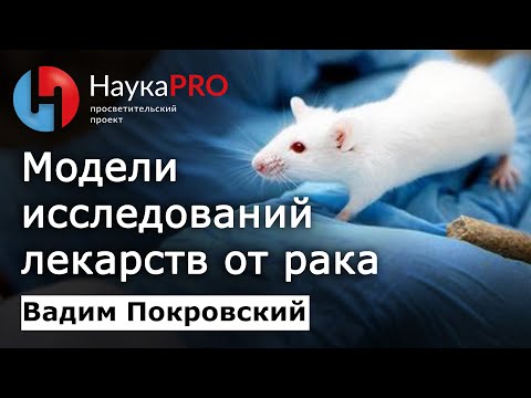 Видео: На каких моделях исследуют противоопухолевые препараты – Вадим Покровский | Лекции по онкологии
