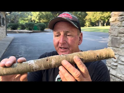 Видео: В чем большинство рыболовов-бассменов не преуспевают… (Как НЕ преуспеть)