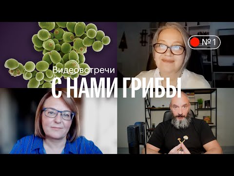 Видео: С нами грибы. Дрожжи. Антикандидозные протоколы. Вишневский, Внукова, Симонова