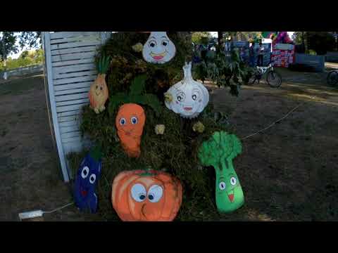 Видео: День  Лутовинівки