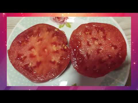 Видео: Минусинские сорта томатов