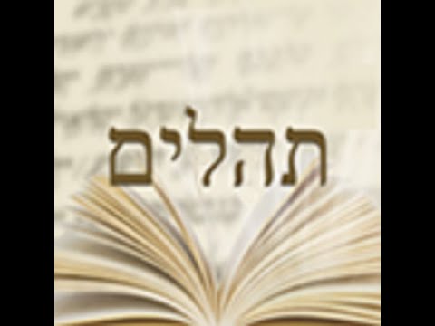 Видео: Теилим #4 - Тайный Смысл (Рав Исраэль Якобов)