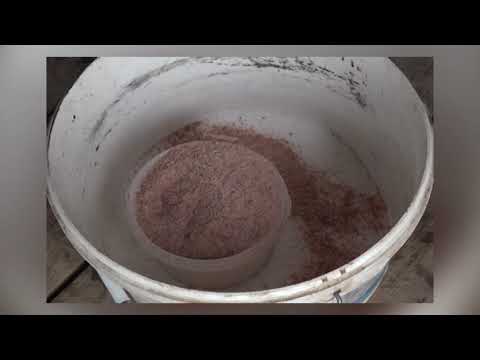 Видео: Зеленый сад фильм № 340 "Картофель.Перцы.Слива. Виноград." 12.06.21г. Хабаровск (zeleniisad.ru)