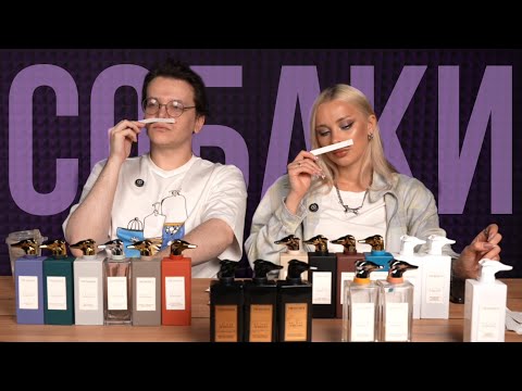 Видео: ОБЗОР ВСЕЙ КОЛЛЕКЦИИ СОБАК TRUSSARDI с @parf_Nami