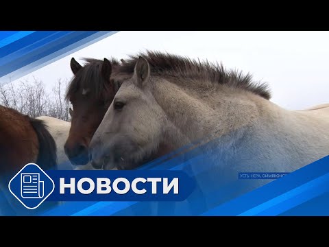 Видео: Новостной выпуск 19:00 от 15.10.24