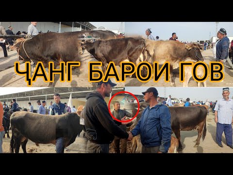 Видео: МОЛ БОЗОРИ НОХИЯИ ДУСТИ ЭШБЕК САТТОРОВ 06.10.24