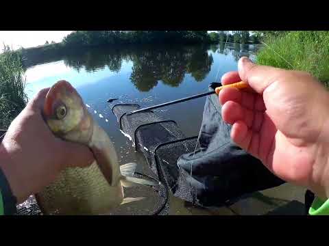 Видео: река Теза. Фидер. Лещи.