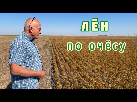 Видео: Лен - экономически просто, но...