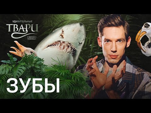 Видео: Гусь с зубами на языке, рыба с человеческой улыбкой и ржавые зубы нутрии. Самые странные зубы тварей