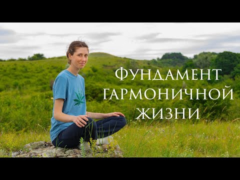 Видео: Фундамент гармоничной жизни. Первые ступени йоги: Яма и Нияма