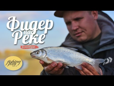 Видео: Ловля на фидер осенью | Рыбалка на реке Кубань