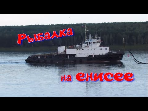 Видео: Наш выезд на рыбалку. База "Подпорожье" на Енисее 19 08 2025