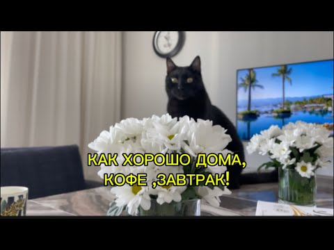 Видео: ТУРЦИЯ АЛАНЬЯ2025 /COTON  / ЦЕНЫ/ КОГДА НИЧЕГО НЕ НУЖНО И ВЫБРАТЬ НЕЧЕГО/КЛЕОПАТРА