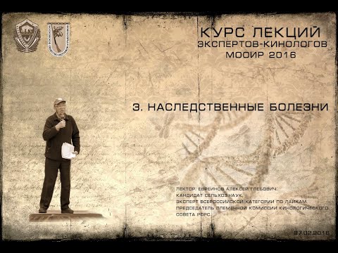 Видео: Лекция 3. Наследственные болезни. (Курсы экспертов-кинологов МООиР 2016)