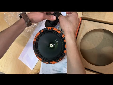 Видео: ОБЗОР DL Audio Gryphon Pro 165 SE - громко, красиво, бюджетно!