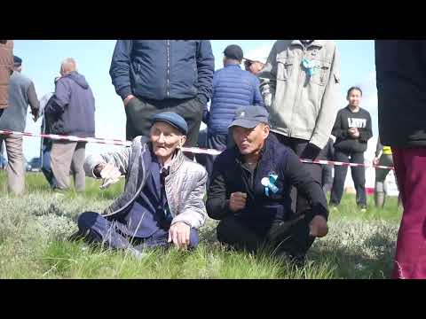 Видео: Тоғайлы Дала Қызықтары-2025 жыл