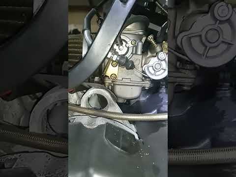 Видео: 2 февраля 2025 г.