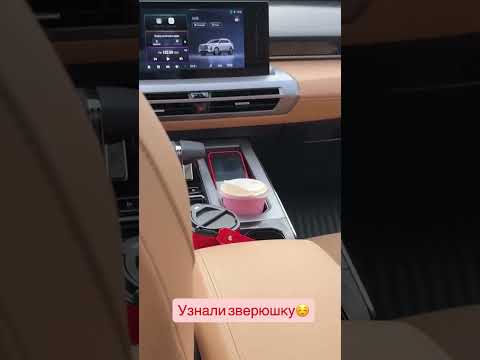 Видео: Китайская экономия в авто. #shorts Лиса рулит