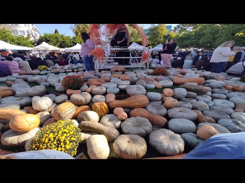 Видео: Празник на тиквата и защо се нарича"Тиквенбург" /2023/