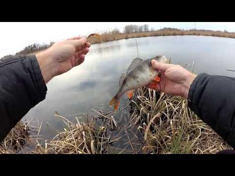 Видео: Рыбалка на реке Рось.