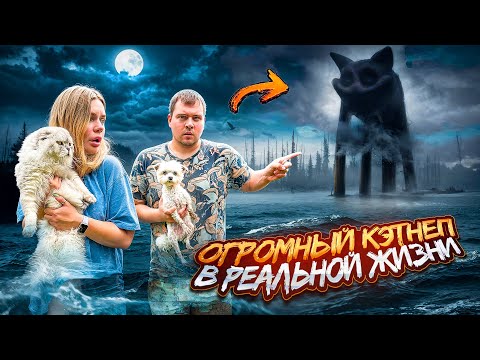 Видео: CATNAP В РЕАЛЬНОЙ ЖИЗНИ | 24 ЧАСА НА ОЗЕРЕ ГИГАНТСКОГО ДРЕМОТА С КОТАМИ