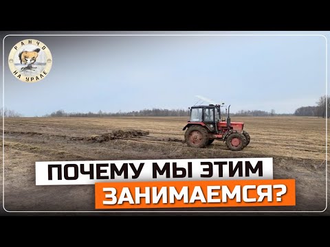 Видео: РАНЧО НА УРАЛЕ | ПОДГОТОВКА К СЕЗОНУ 2025 ИДЕТ ПОЛНЫМ ХОДОМ | ДЕРЕВЕНСКИЕ БУДНИ