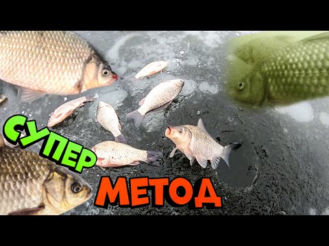 Видео: ЭТОТ МЕТОД КОСИТ ПАССИВНОГО КАРАСЯ! ловля карася зимой  зимняя рыбалка карась на боковой кивок