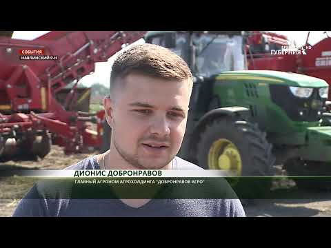 Видео: В Навлинском районе Брянщины идет уборка раннего картофеля