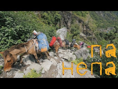 Видео: Пальцы непальцев #7 Паводок