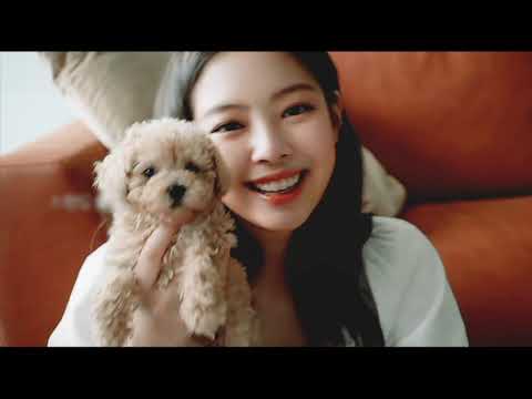 Видео: [FMV] Jenkook || Jennie x Jungkook || - Французский поцелуй