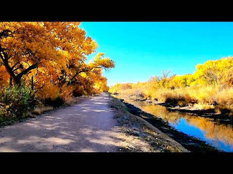 Видео: Поход по красочным тополям с живописными видами на реку в Альбукерке, Нью-Мексико | Burnt Forest