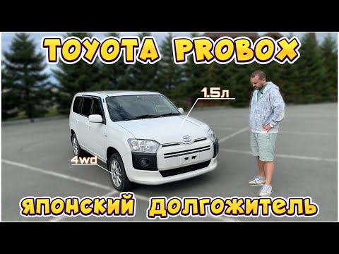 Видео: ДЁШЕВО И НАДЁЖНО! TOYOTA PROBOX