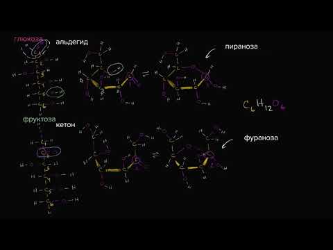 Видео: Молекулярная структура фруктозы (видео 4) | Макромолекулы | Биология