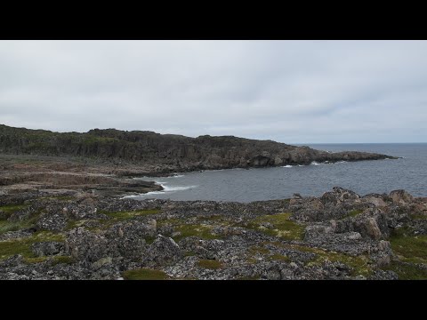 Видео: Кольский 2024. Часть 9.  Прогулки в окрестностях Дальних Зеленцов.