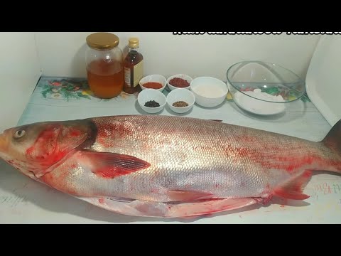 Видео: Самый Вкусный Рецепт Хе из Рыбы! Хе Из Толстолобика!