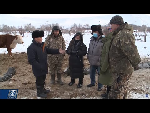 Видео: Шекарадағы ауыл шамы сөнбесін | Арнайы репортаж