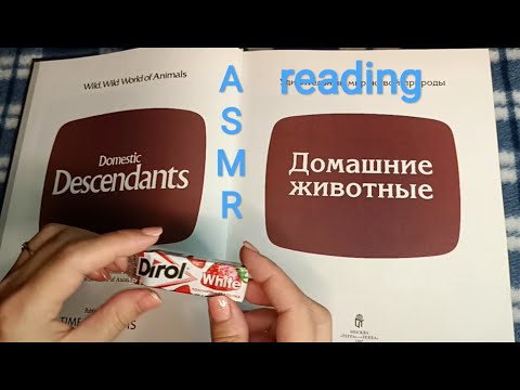 Видео: ASMR reading / АСМР чтение / жвачка / шёпот / chewingsounds/ chewingum / whisper
